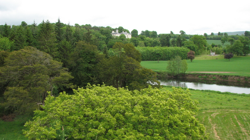 Love the greens here<br />
